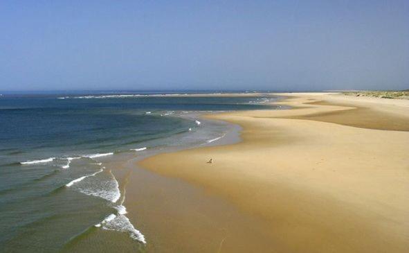 Villa Reve D'Ocean Climatisee Gujan-Mestras Kültér fotó